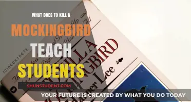 To Kill a Mockingbird: Timeless Lessons for Modern Students