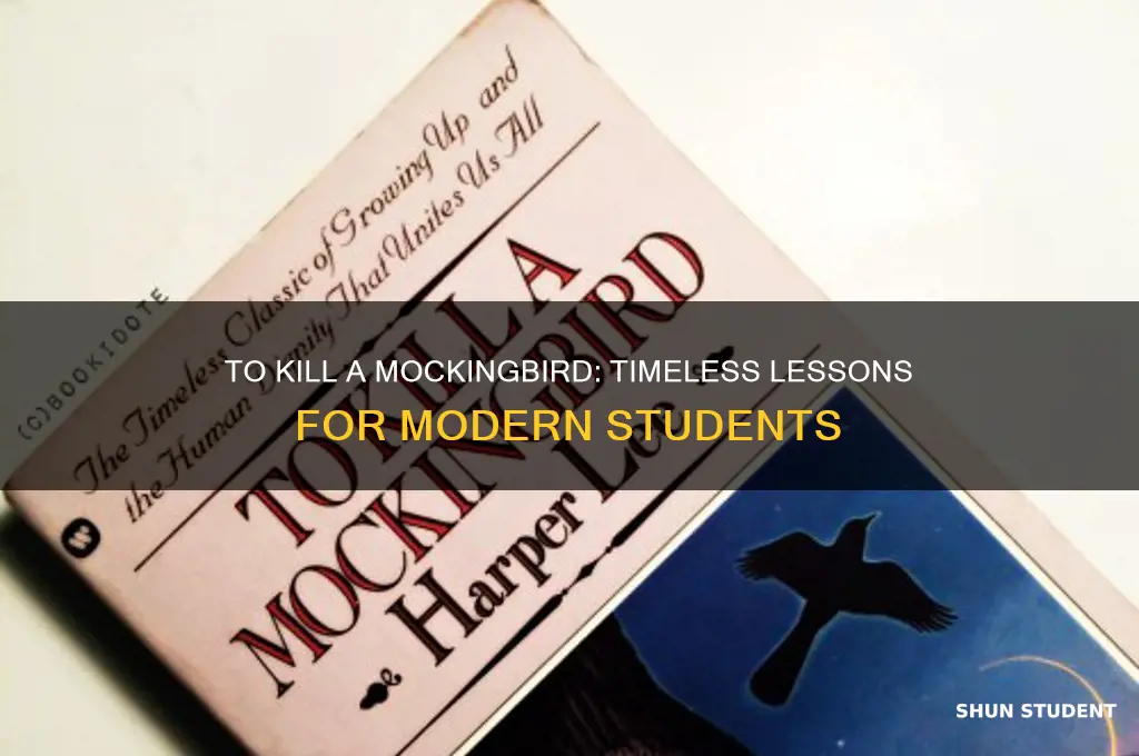 what does to kill a mockingbird teach students