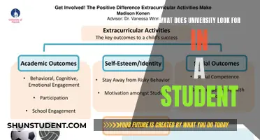 Unveiling University's Criteria: What Makes a Successful Applicant