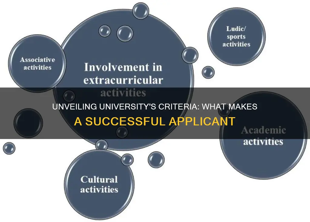 what does university look for in a student