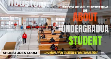 Unveiling Houston's Favorite Traits in Undergrads: A University Perspective