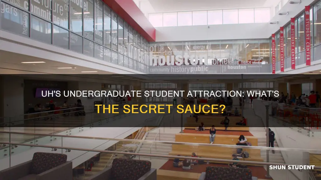 what does university of houston really like about undergraduate student