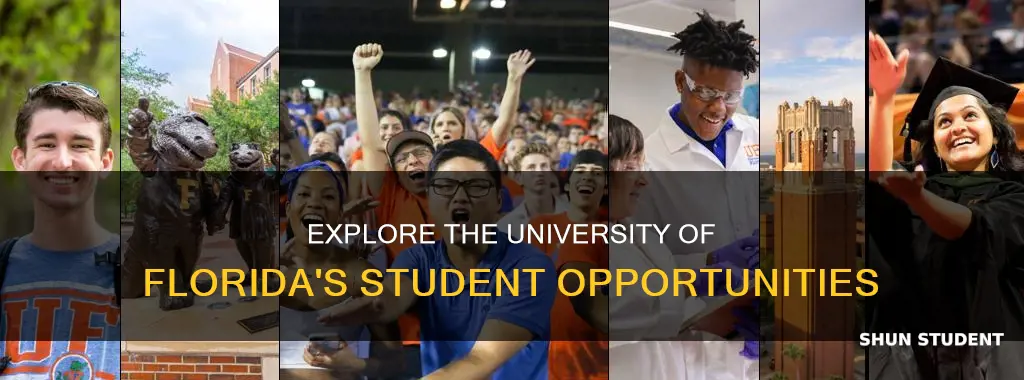 what does university of lforida offer students