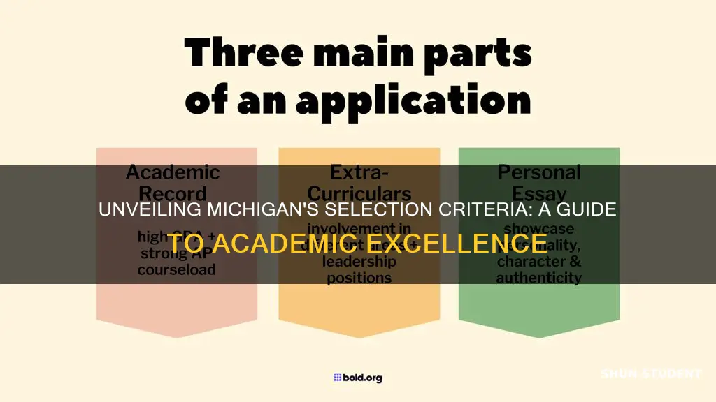 what does university of michigan look for in a student