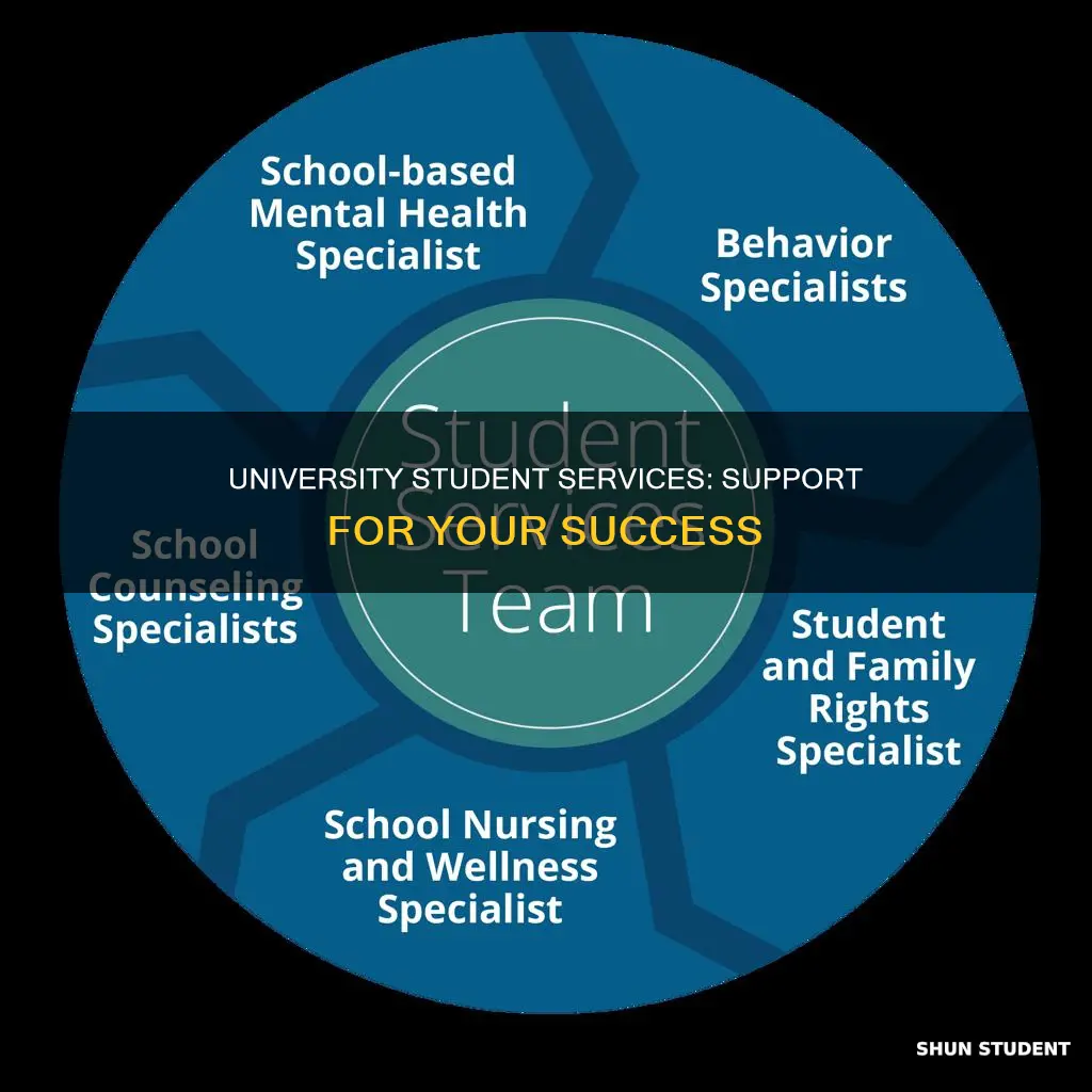 what does university student services team