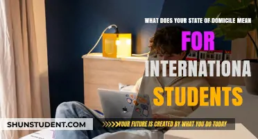 Understanding Domicile: What States Offer International Students