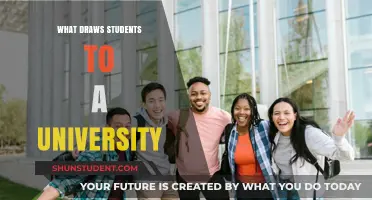 Why Students Choose a University: Key Factors