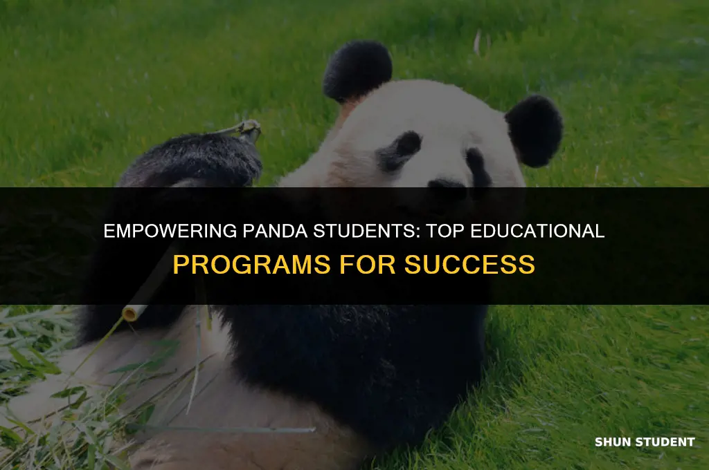 what educatinoal programs are good for pandas students