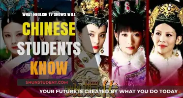 Popular English TV Shows Recognized by Chinese Students: A Cultural Crossover