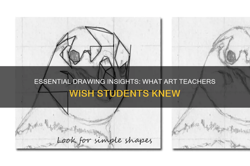 what every art teacher wants their drawing students to know