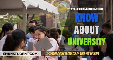 University: A Student's Guide to Success