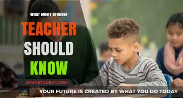 Essential Insights Every Student Teacher Needs to Master for Success