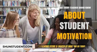 Understanding Student Motivation: Essential Insights for Effective Teaching Strategies