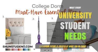University Students: Essentials for Success