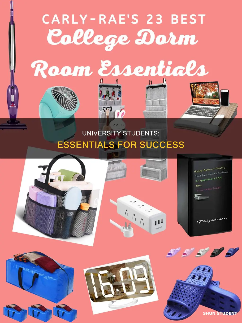 what every university student needs