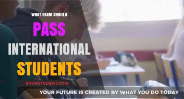 International Students: Exam Strategies for Success