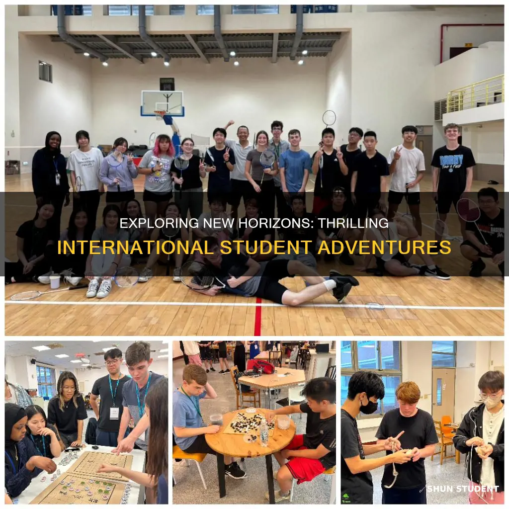 what excites you the most about being an international student