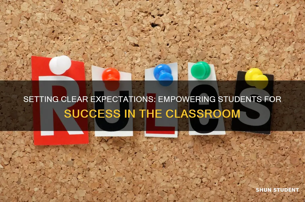 what expectations should a teacher give to the students