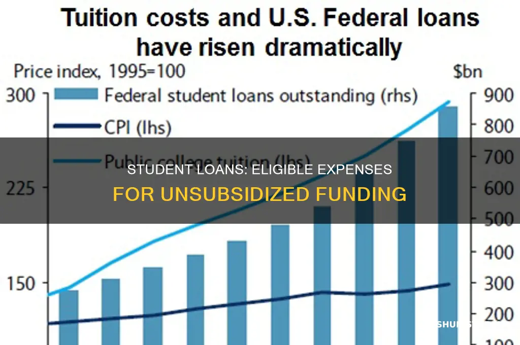 what expenses i can pay with unsubsidized student loan