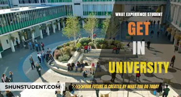 University Life: A Student's Journey and Experience