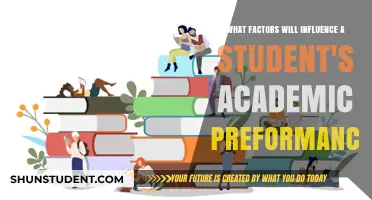 Key Factors Shaping a Student's Academic Performance and Success