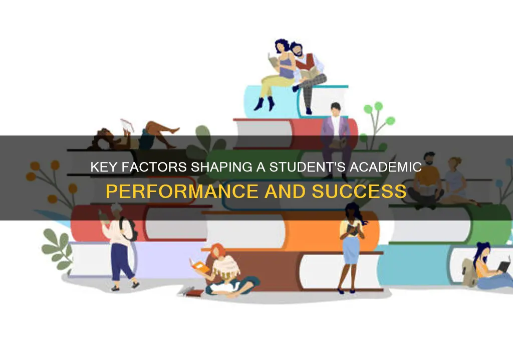 what factors will influence a student