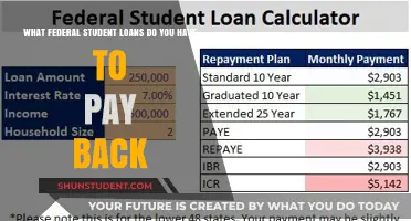 Understanding Federal Student Loans and Repayment Obligations