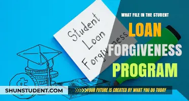 Understanding the Key File for Student Loan Forgiveness Program