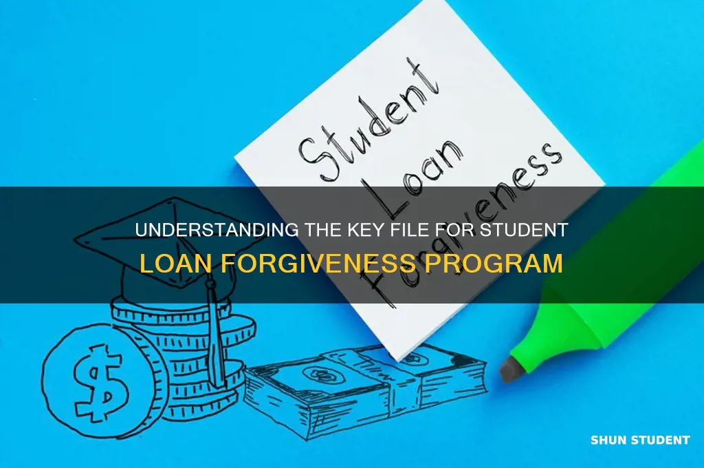 what file in the student loan forgiveness program