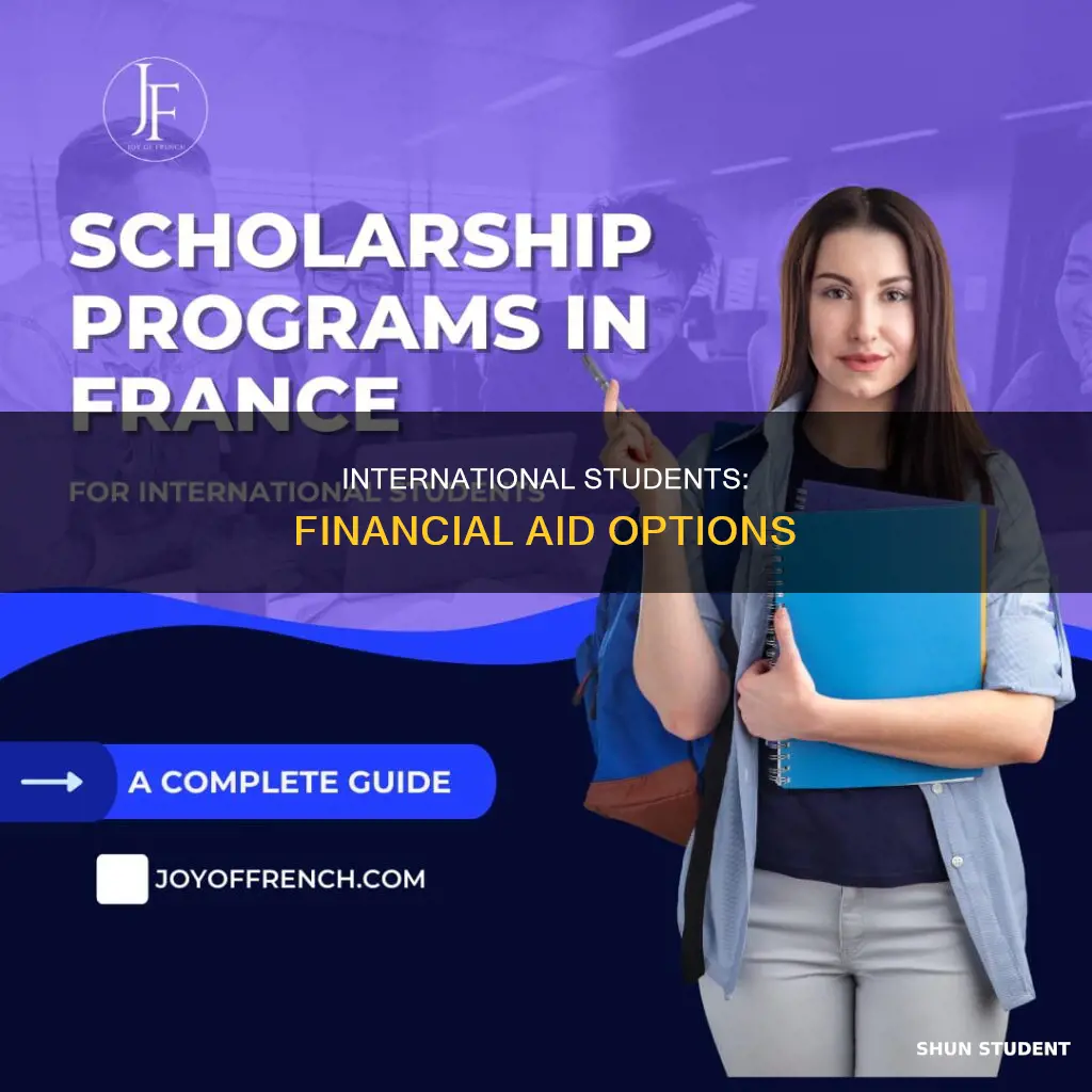 what financial aid can international students get