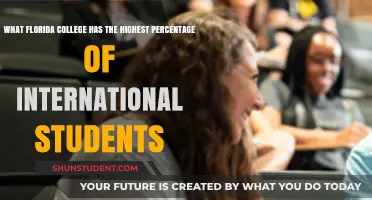 International Students: Which Florida College Attracts the Most?
