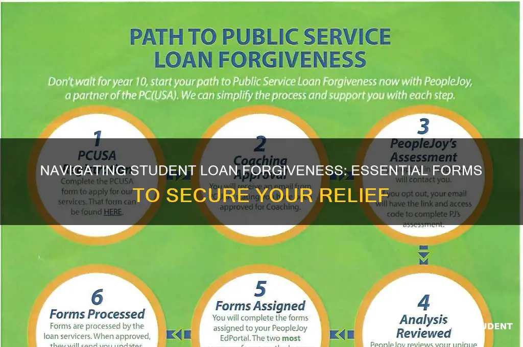 what form do i need to fight student loan forgiveness