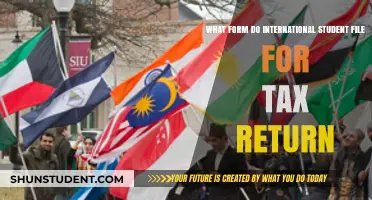 International Students: File Tax Returns with Form 8843
