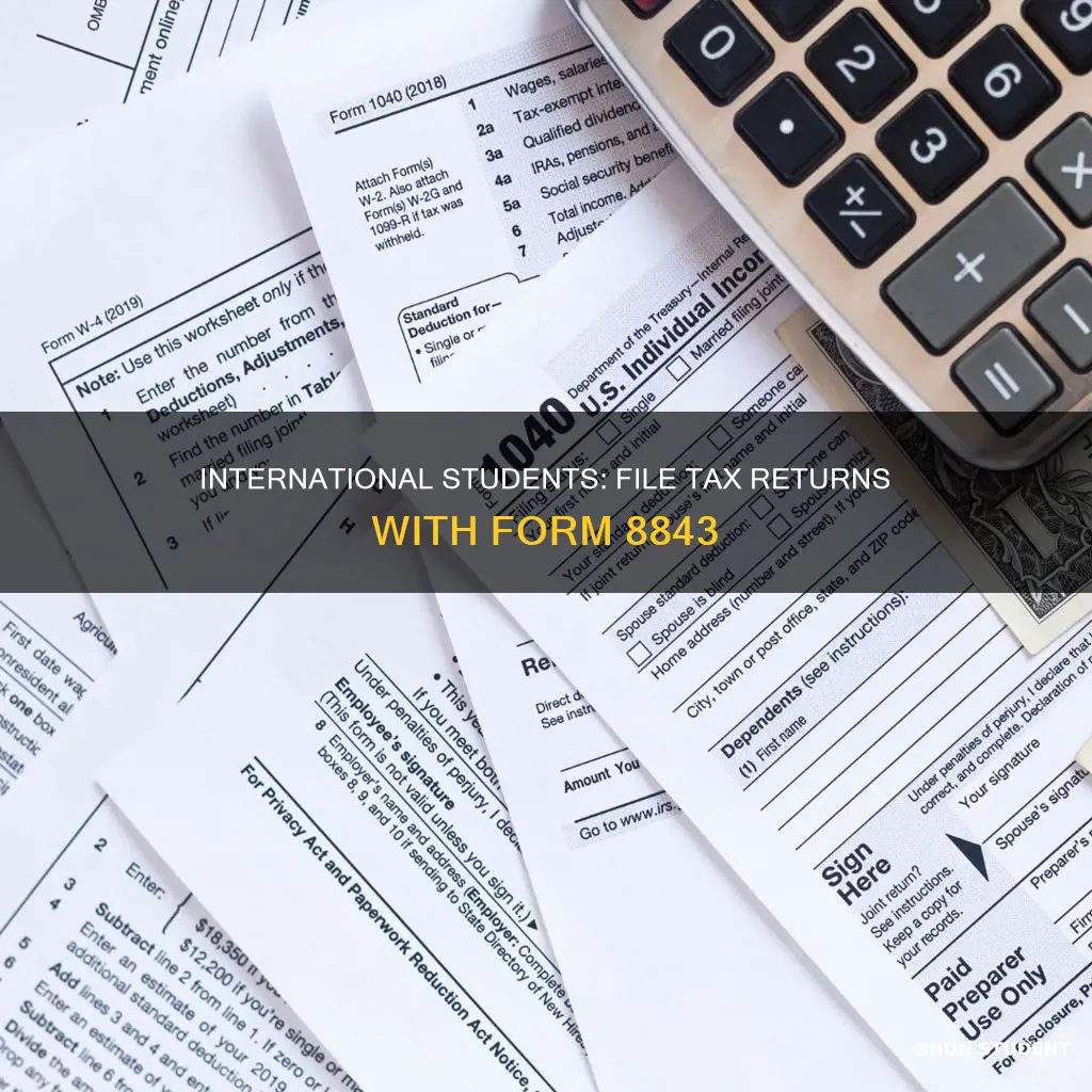 what form do international student file for tax return