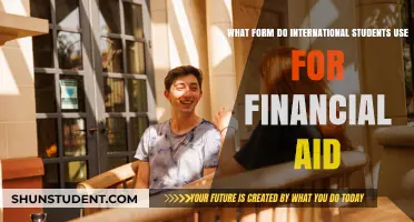 International Students: Financial Aid Form Guide