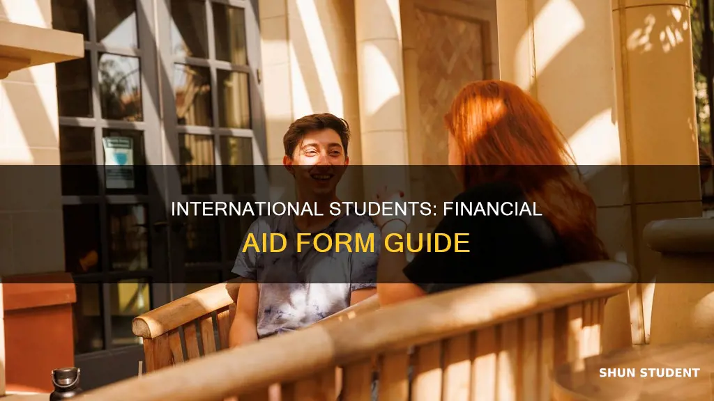 what form do international students use for financial aid