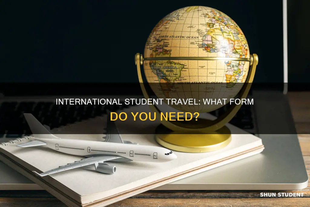 what form does international students use for travel