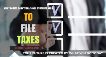 International Students: Tax Forms and Filing Requirements