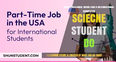 Freelance Gigs for International Computer Science Students