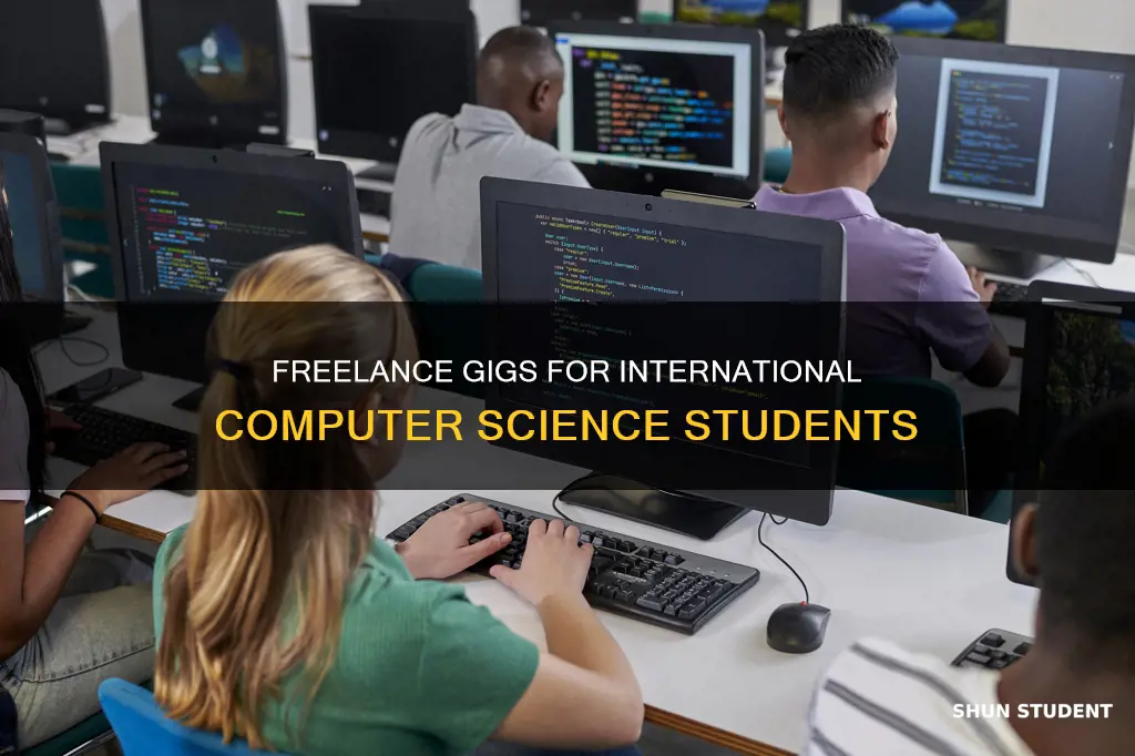 what freelance work can a international computer sciecne student do