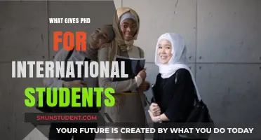 Why Pursue a PhD Abroad?