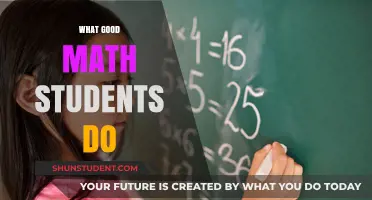 Unlocking Success: Habits and Mindsets of Top Math Students