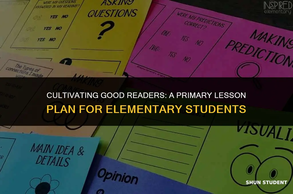 what good readers do lesson plan primary elementary students