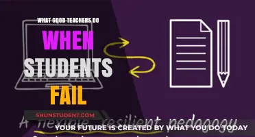 Empowering Resilience: Strategies for Teachers When Students Struggle