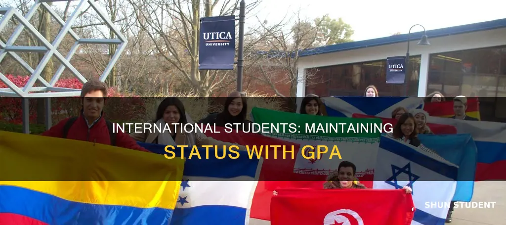 what gpa do international students need to maintain status