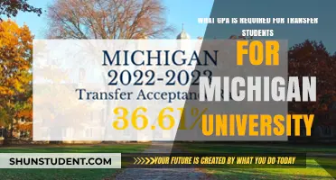 Transferring to Michigan University: What GPA Do You Need?