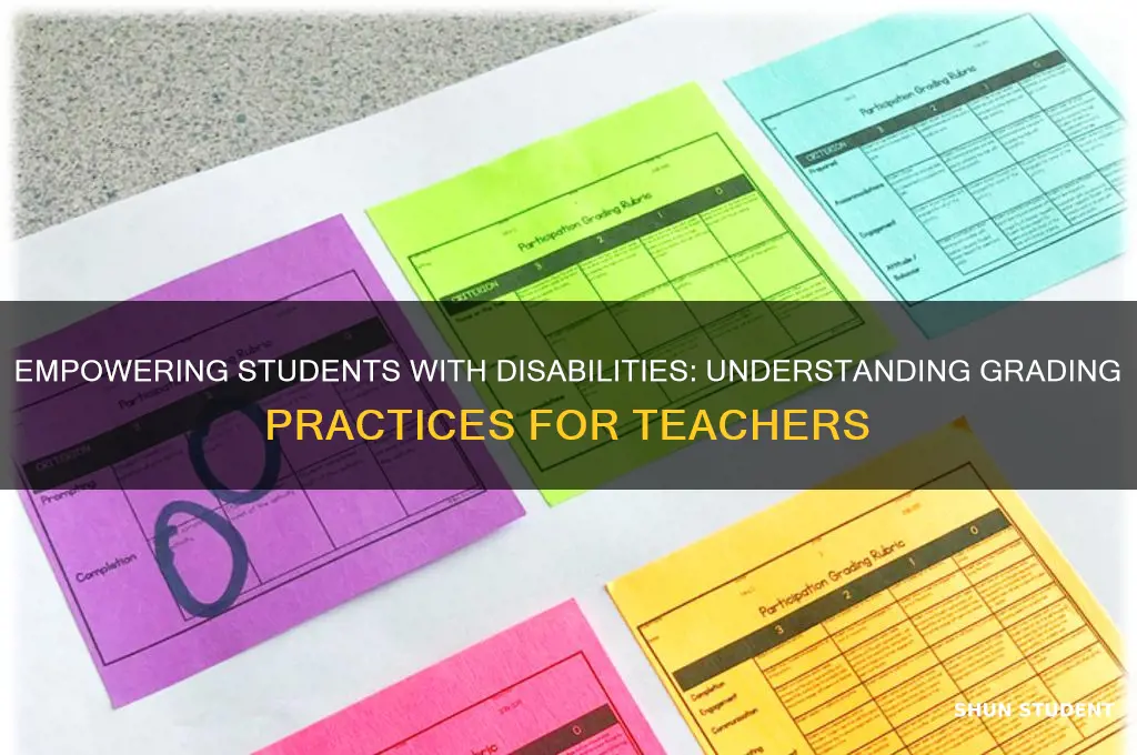 what grades can a teacher of students with disabilities