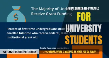 Grants for University Students: Unlocking Financial Support