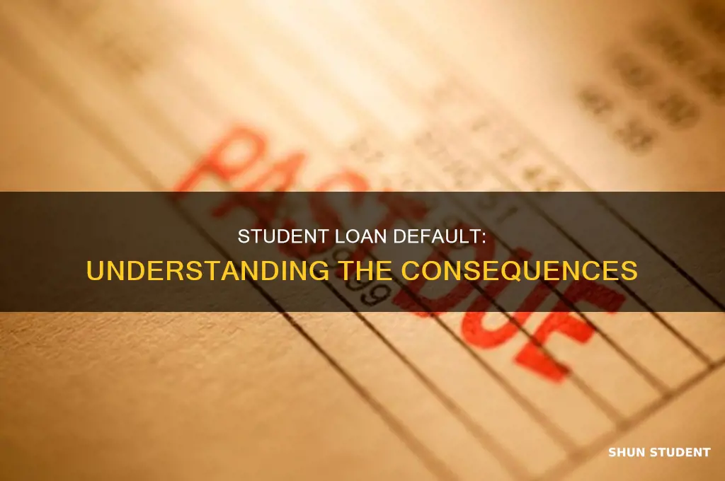 what hapens when you dont pay student laons