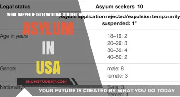 Asylum Seeking: International Students in the USA